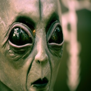 Are Aliens Real?: A Thought Exercise