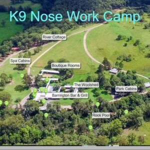 Inaugural K9 Nose Work Down Under Camp