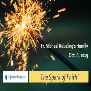 The Spark of Faith (Fr. Michael Rubeling, 10/06/2019)