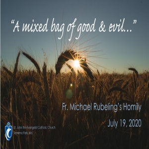 A Mixed Bag of Good & Evil (Fr. Michael Rubeling, 7/19/2020)
