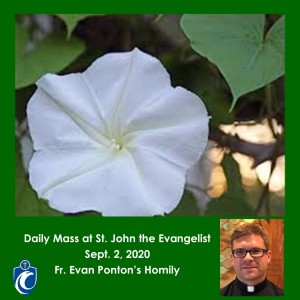 Daily Mass (Fr. Evan Ponton, 9/2/2020)