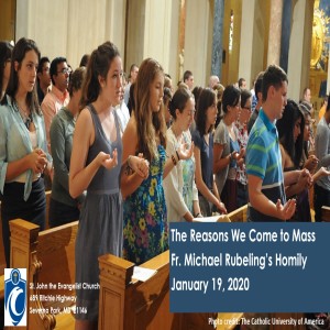 The Reasons We Come to Mass (Fr. Michael Rubeling, 1/19/2020)