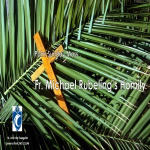 Palm Sunday 2020 (Fr. Michael Rubeling, 4/5/2020)