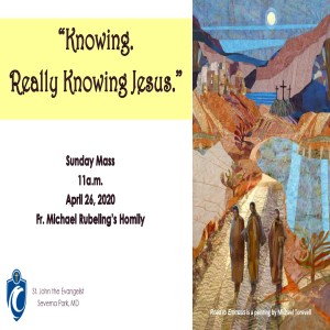 Eyes Open & Hearts Burning with Hope (Fr. Erik Arnold, 4/26/2020)