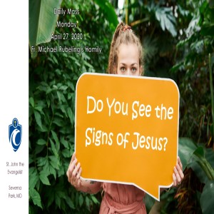 Do You See the Signs of Jesus? (Fr. Michael Rubeling, 4/27/2020)