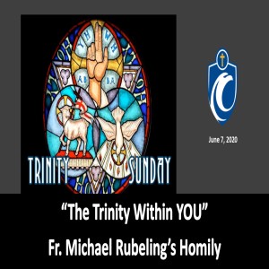 The Trinity Within YOU (Fr. Michael Rubeling, 6/7/2020)