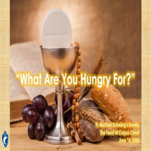 What Are You Hungry For? (Fr. Michael Rubeling, 6/14/2020)