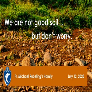 We Are Not Good Soil, But Don't Worry (Fr. Michael Rubeling, 7/12/2020)