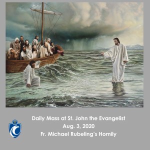 Daily Mass (Fr. Michael Rubeling, 8/3/2020)