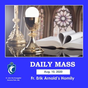 Daily Mass (Fr. Erik Arnold, 8/10/2020)