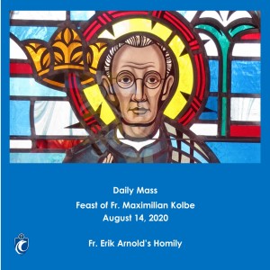 Daily Mass (Fr. Erik Arnold, 8/14/2020)