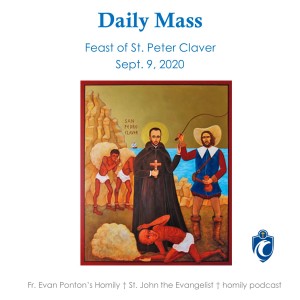 Daily Mass (Fr. Evan Ponton, 9/9/2020)