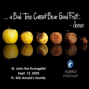 Daily Mass (Fr. Erik Arnold, 9/12/2020)
