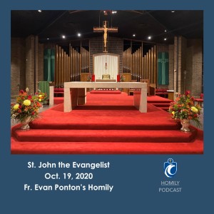 Daily Mass (Fr. Evan Ponton, 10/19/2020)
