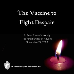 The Vaccine to Fight Despair (Fr. Evan Ponton, 11/29/2020)