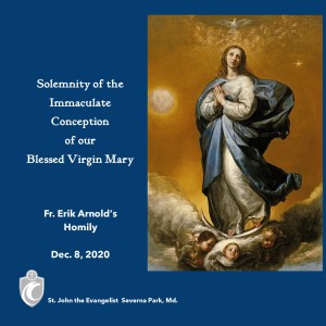 Solemnity of the Immaculate Conception of the Blessed Virgin Mary (Fr. Erik Arnold, 12/8/2020)