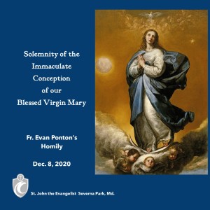 The Solemnity of the Immaculate Conception of the Blessed Virgin Mary (Fr. Evan Ponton, 12/8/2020)