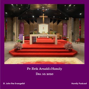 Daily Mass (Fr. Erik Arnold, 12/10/2020)