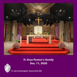 Daily Mass (Fr. Evan Ponton, 12/11/2020)
