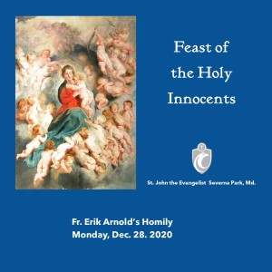 Feast of Holy Innocents (Fr. Erik Arnold, 12/28/2020)