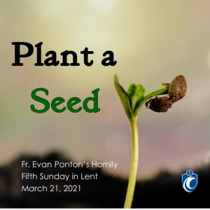 Plant a Seed (Fr. Evan Ponton, 3/21/2021)