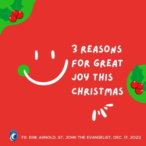 Three Reasons for Great Joy this Christmas (Fr. Erik Arnold, 12/17/2023)