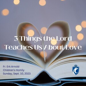 3 Things the Lord Teaches Us About Love (Fr. Erik Arnold, 9/10/2023)