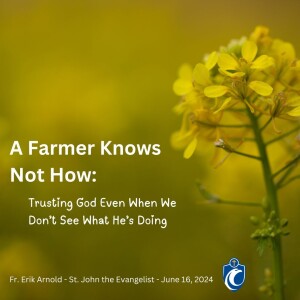 A Farmer Knows Not How: Trusting God Even When We Don't See What He's Doing (Fr. Erik Arnold, 6/16/2024)
