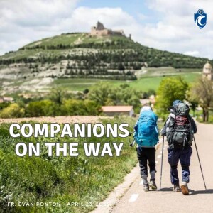 Companions on the Way (Fr. Evan Ponton, 4/23/2023)