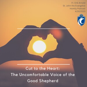 Cut to the Heart: The Uncomfortable Voice of the Good Shepherd (Fr. Erik Arnold, 4/30/2023)