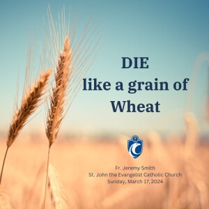 Die Like a Grain of Wheat (Fr. Jeremy Smith, 3/17/2024)