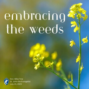 Embracing the Weeks (Dnc. Mike Tine, 7/23/2023)