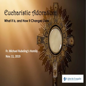 Eucharistic Adoration_What it is and How it Changes Lives (Fr. Michael Rubeling, 11/10/2019)