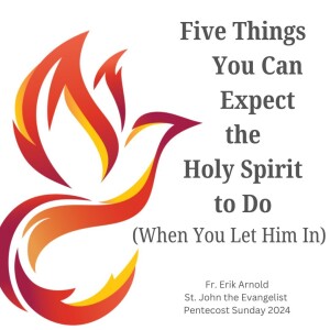 5 Things You Can Expect the Holy Spirit to Do When You Let Him In (Fr. Erik Arnold, 5/19/20240