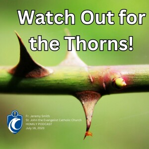 Watch Out for the Thorns (Fr. Jeremy Smith, 7/16/2023)