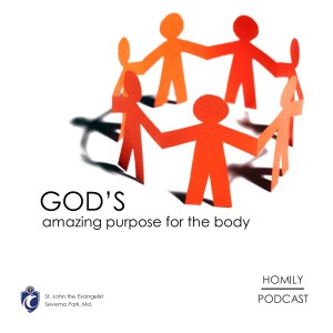God's Amazing Purpose for the Body (Fr. Erik Arnold, 5/16/2021)