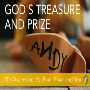God's Treasure and Prize (Fr. Erik Arnold, 5/24/2020)