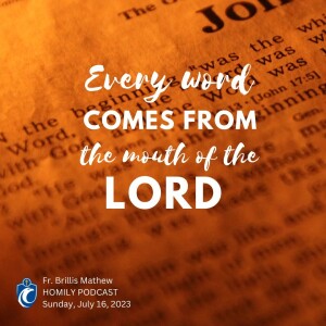 Every Word Comes from the Mouth of the Lord (Fr. Brillis Mathew, 7/16/2023)