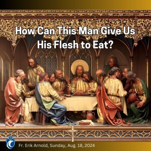 How Can This Man Give Us His Flesh to Eat? (Fr. Erik Arnold, 8/18/2024)