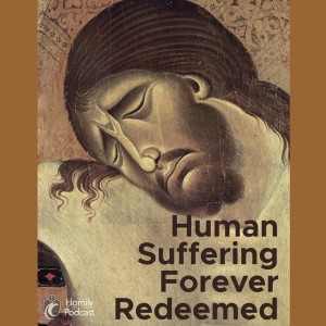 Human Suffering Forever Redeemed (Fr. Erik Arnold, 2/7/2021)
