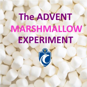 The Advent Marshmallow Experiment - Children’s Homily (Fr. Evan Ponton, 12/11/2022)