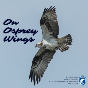 On Osprey Wings (Fr. Evan Ponton, 6/18/2023)