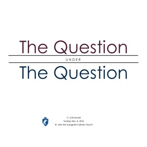 The Question Under the Question (Fr. Erik Arnold, 11/6/2022)