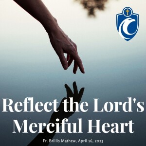 Reflect the Lord’s Merciful Heart (Fr. Brillis Mathew, 4/16/2023)