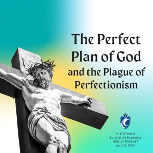 The Perfect Plan of God, and the Plague of Perfectionism (Fr. Erik Arnold, 4/14/2024)