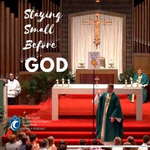 Staying Small Before God - Children’s Homily (Fr. Erik Arnold, 7/9/2023)