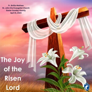 The Joy of the Risen Lord (Fr. Brillis Mathew, Easter Sunday, 4/9/2023)
