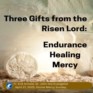 The Gifts from the Risen Lord: Endurance, Healing, Mercy (Fr. Erik Arnold 4/27/2025, Divine Mercy Sunday)