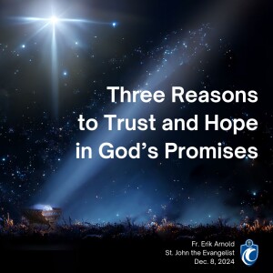 Three Reasons to Trust and Hope in God's Promises (Fr. Erik Arnold, 12/8/2024)