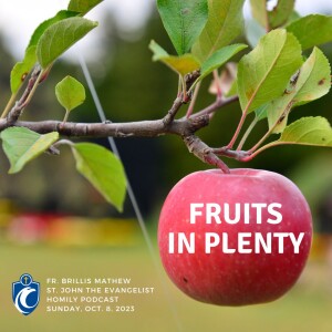 Fruits in Plenty (Fr. Brillis Mathew, 10/8/2023)